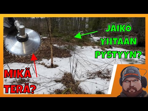 Paluu rikospaikalle ja terän ihmettelyä