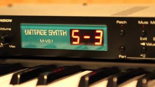 Video thumbnail for Roland M-VS1 Vintage Synth Factory Demo 3 by heikkiwi