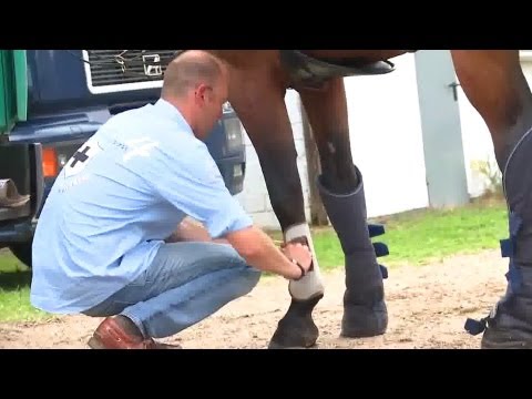 Neoprene Brushing Boots 