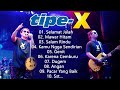 TIPE X LAGU VIRAL TIKTOK 2024