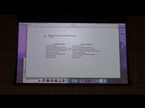 DNA Replication IV - Kevin Ahern's BB 451 Lecture #44 2017