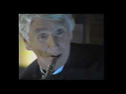 Martin Sagner - Majklinovec bluz