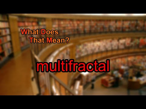 What does multifractal mean?
