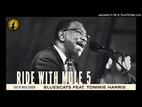 Bluescats Feat. Tommie Harris - Luther's Blues [Live] (Kostas A~171)