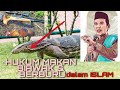 Hukum Memakan Biawak Dalam Islam Dan Berburu Dalam Islam Tuan Guru UAS Menjawab