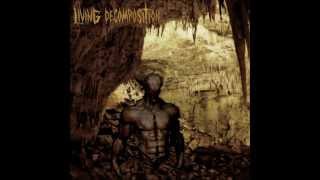 Living Decomposition - Genetic Miscreation