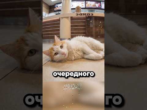 А Рыжик просто хотел Воппер...