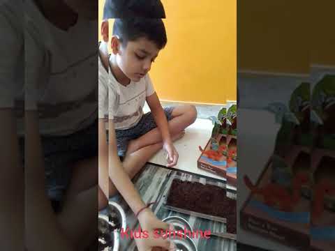 #jurassic  garden#kids #sunshine #jurassic#viral #viral video #subscribe #jaineel# plant video #