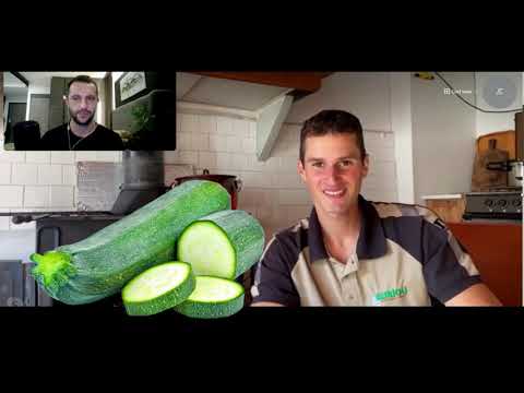 Dialogues en Français | Intermediate French Conversation | Easy Listening practice