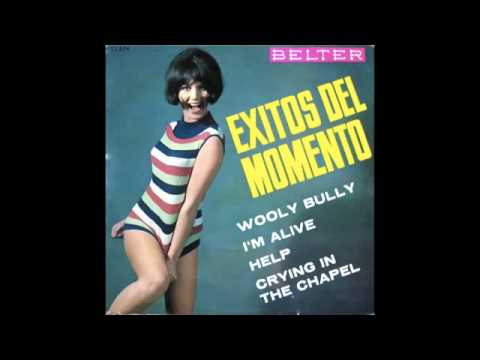 THE RAVERS - WOOLY BULLY