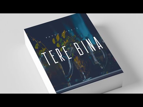 Tere Bina