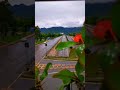 Ishq Tamasha WhatsApp Status