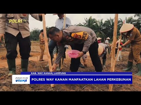 POLRES WAY KANAN MANFAATKAN LAHAN PERKEBUNAN DI BLAMBANGAN UMPU