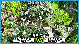 외목대 삭소롬 만드는 전 과정 대공개!! 올해는 꼭 따라해 보세요!!