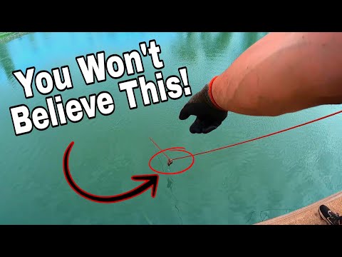 The Most INSANE Day Of Magnet Fishing EVER - 1 in a MILLION Chance Of This Insane Luck!