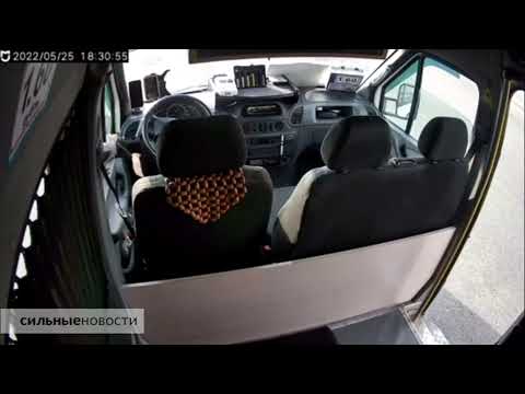 Сrow steal money from a taxi driver!