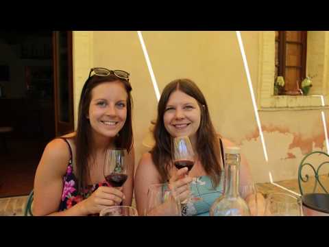 Italy Part 11  Winery Tour  Felsina & DAlessandro