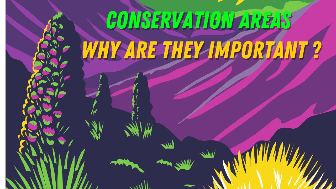 What are conservation areas and why are they important ? Easy Biology Notes