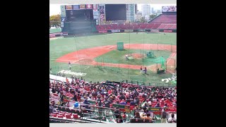 「神スイング」を凌駕！「シン・始球式の女王」袴田彩会のフリーアナ世渡り術