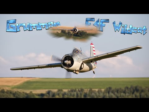 Grumman F4F Wildcat 1/4 // Fischer Modellbau // Moki 250ccm | NX RC Room