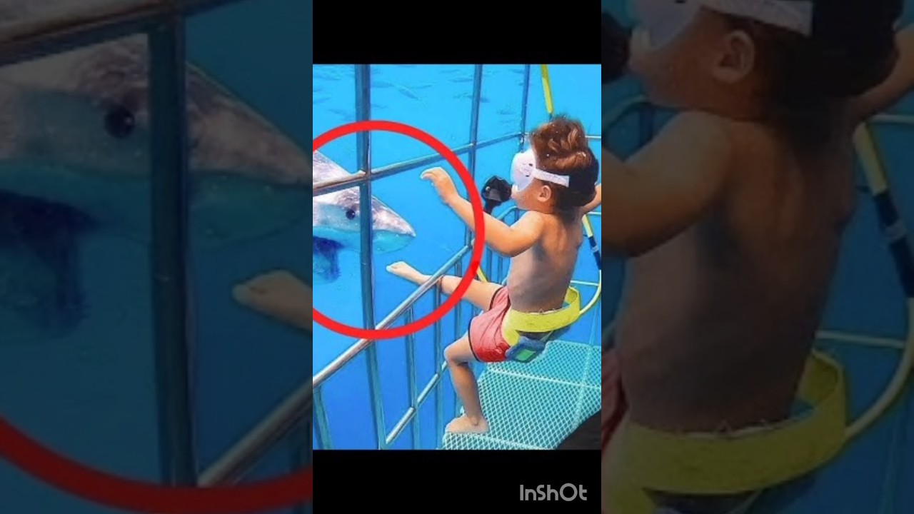 اغرب لعبة في العالم 😱🔥هل تعرفها👀👀#shorts #gaming