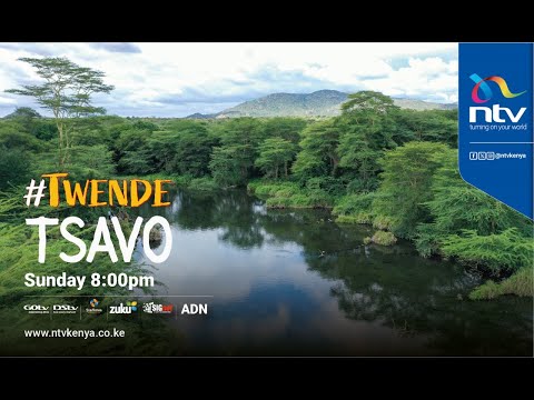 Twende Tsavo: Where red elephants roam and crystal springs flow