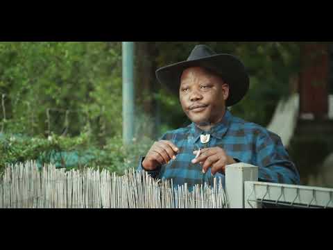 Timmy the Kid Trailer