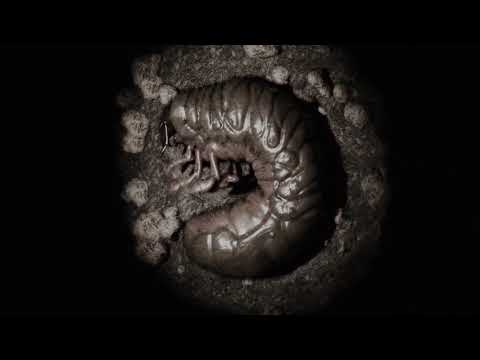 Across The Swarm - Knowing Became Doing (Lyric Video)