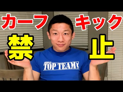 カーフキック論争について本音を語ります【堀口恭司】