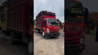 Download lagu jemping lah masak ngak#shorts @Dani Rama@3627 mp3