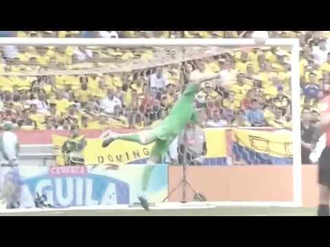 Willian's half volley top corner goal! (Colombia vs Brazil) 5/9/17