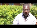 The Story Of Behind Mukangala Hit Song