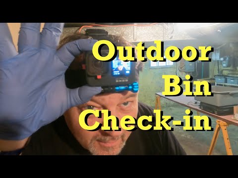 Outdoor worm bin check in at the beginning of December - vermicomposting