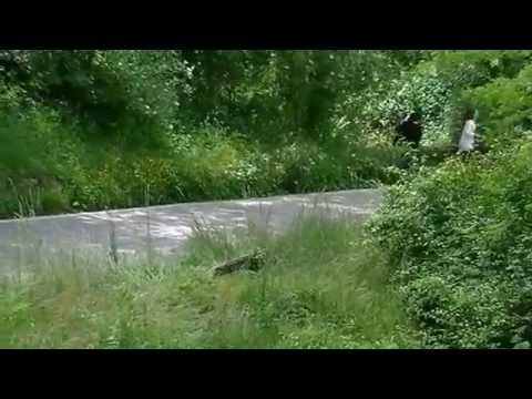 32° Rally degli Abeti e dell'Abetone 2014