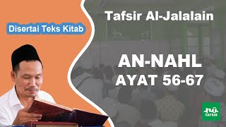 Surat An-Nahl # Ayat 56-67 # Tafsir Al-Jalalain # KH. Ahmad Bahauddin Nursalim
