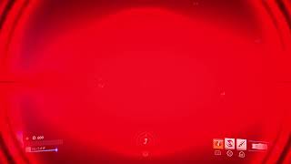 OW2　うさぎと愉快な仲間たち