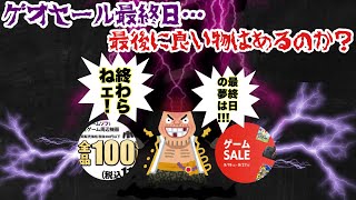【GEO】ゲオセール最終日…最後に良い物はあるのか！？最後に参る💨