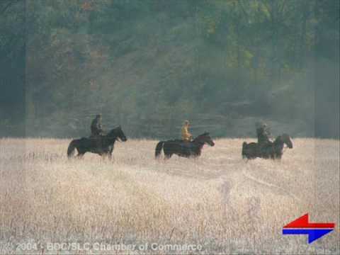 Roaring Twenties: Bob Haring's Orchestra - Dixie Dawn, 1928