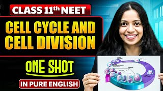 CELL CYCLE AND CELL DIVISION