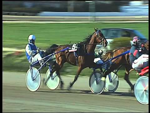 Trotto 04/03/2016 - 2° corsa