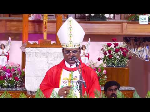 ஆயரின் மறையுரை - புதுமை வள்ளல் புனித வனத்து அந்தோணியர் ஆலய அர்ச்சிப்பு விழா