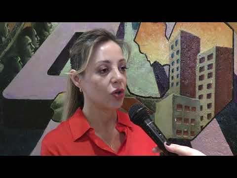 Presentaron el Plan Provincial de Desarrollo Minero