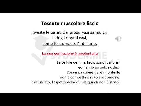 VIDEO RIASSUNTO ISTOLOGIA GRATIS | TESSUTO MUSCOLARE