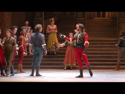 Meet Tybalt - Prince of Cats!