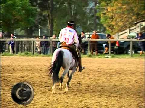Functional Stage of the Golden Brake