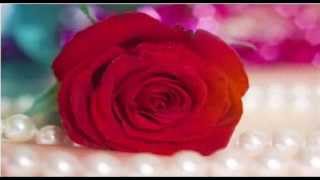 You&#39;ve Lost That Lovin&#39; Feeling  Johnny Rivers