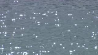 Love My Way- A Cappella/Petra Haden