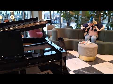 Het prachtige Efteling Grand Hotel