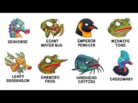 Every Animal Whose Dad Gets Pregnant Instead