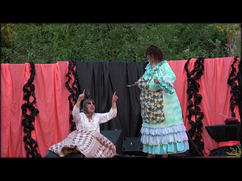 Hana Zagorová - Slunce seno a travesti Divoké kočky 2020